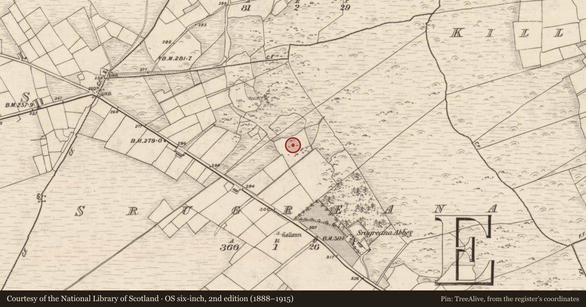 Ordnance Survey six-inch map, 2nd edition (1888–1915) covering the location of Megalithic structure, Srugreana, County Kerry, with a pin at the register's coordinates