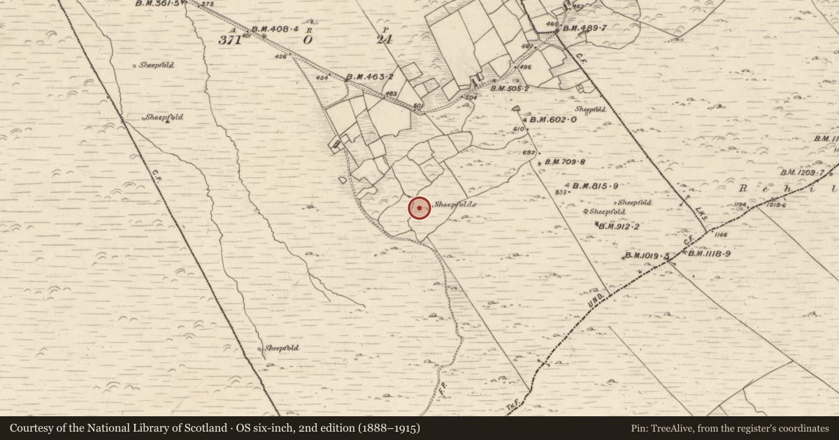 Ordnance Survey six-inch map, 2nd edition (1888–1915) covering the location of Hut site, Tooreenmore, County Kerry, with a pin at the register's coordinates