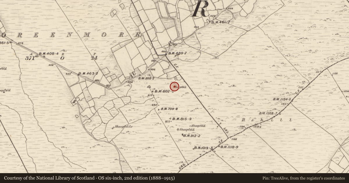 Ordnance Survey six-inch map, 2nd edition (1888–1915) covering the location of Hut site, Tooreenmore, County Kerry, with a pin at the register's coordinates