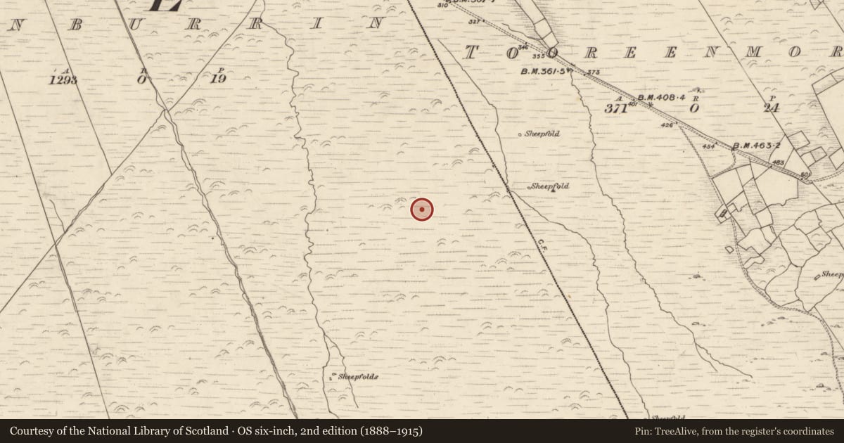Ordnance Survey six-inch map, 2nd edition (1888–1915) covering the location of Field boundary, Canburrin, County Kerry, with a pin at the register's coordinates