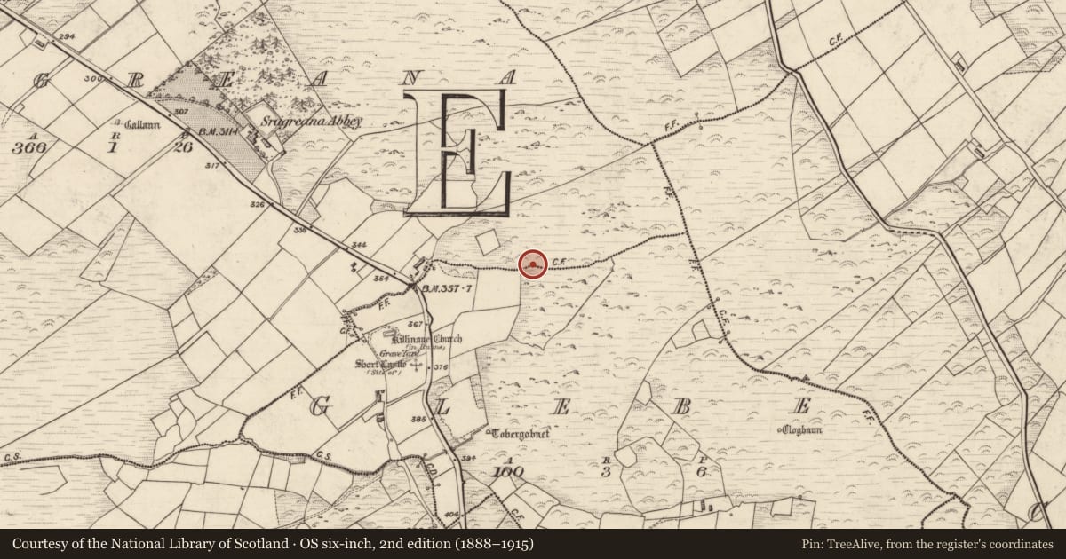 Ordnance Survey six-inch map, 2nd edition (1888–1915) covering the location of Rock art, Glebe, County Kerry, with a pin at the register's coordinates