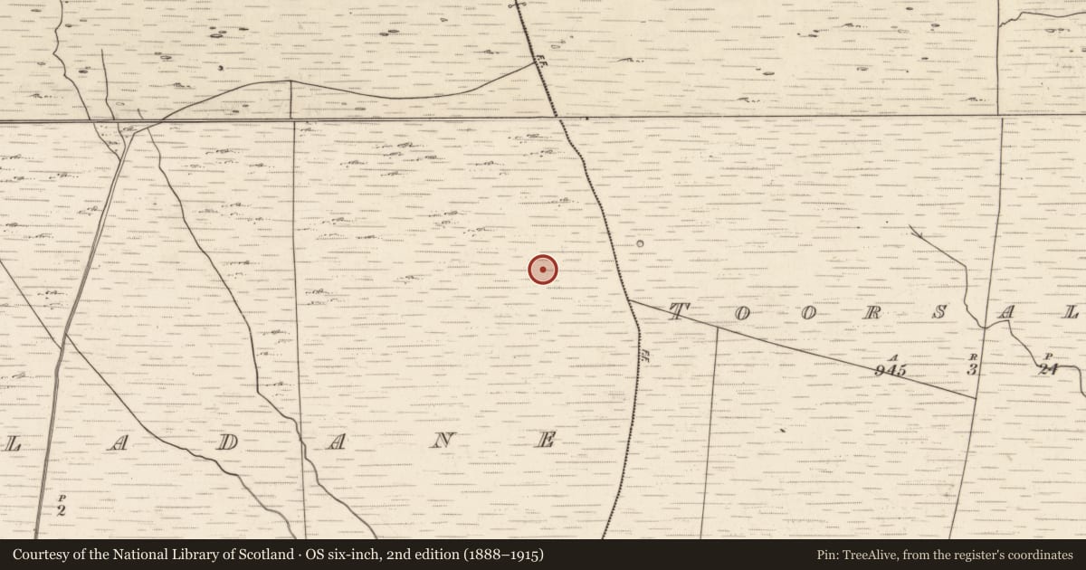 Ordnance Survey six-inch map, 2nd edition (1888–1915) covering the location of Hut site, Tuar An Chladáin, County Kerry, with a pin at the register's coordinates
