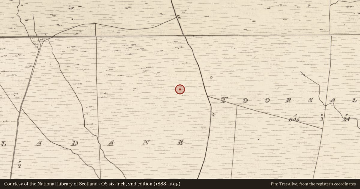Ordnance Survey six-inch map, 2nd edition (1888–1915) covering the location of Hut site, Tuar An Chladáin, County Kerry, with a pin at the register's coordinates