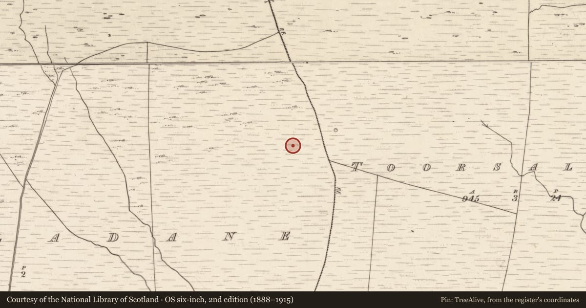 Ordnance Survey six-inch map, 2nd edition (1888–1915) covering the location of Hut site, Tuar An Chladáin, County Kerry, with a pin at the register's coordinates