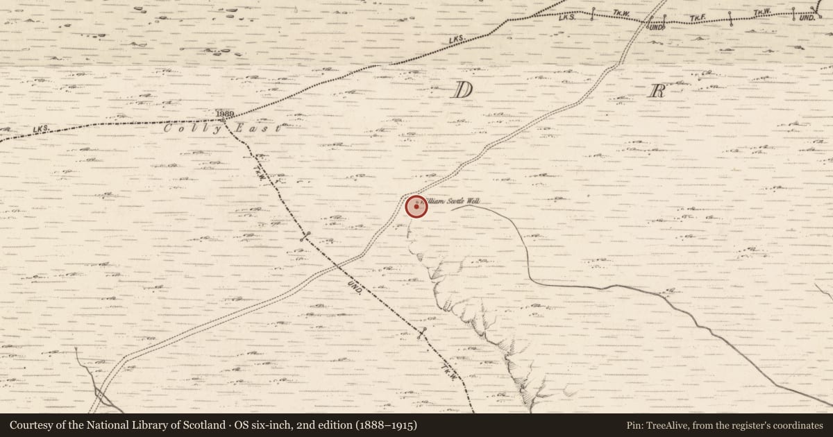 Ordnance Survey six-inch map, 2nd edition (1888–1915) covering the location of Ritual site - holy well, Dromalonhurt, County Kerry, with a pin at the register's coordinates