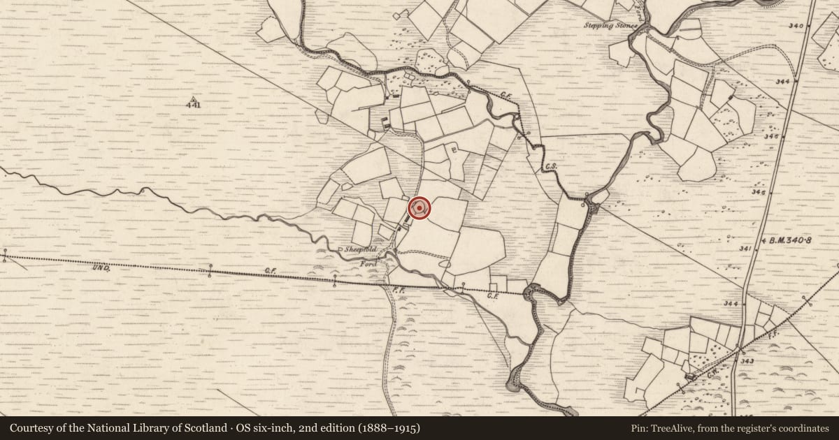 Ordnance Survey six-inch map, 2nd edition (1888–1915) covering the location of Ringfort - cashel, Coomleagh, County Kerry, with a pin at the register's coordinates