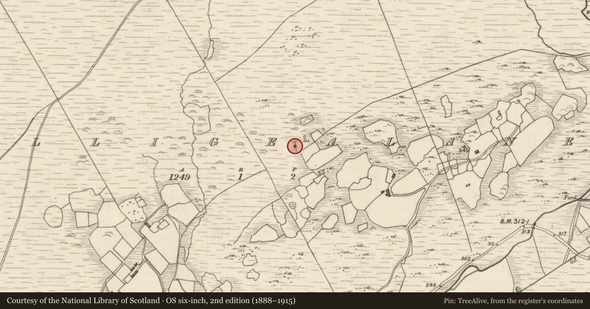 Ordnance Survey six-inch map, 2nd edition (1888–1915) covering the location of Hut site, Tulaigh Fhialáin, County Kerry, with a pin at the register's coordinates