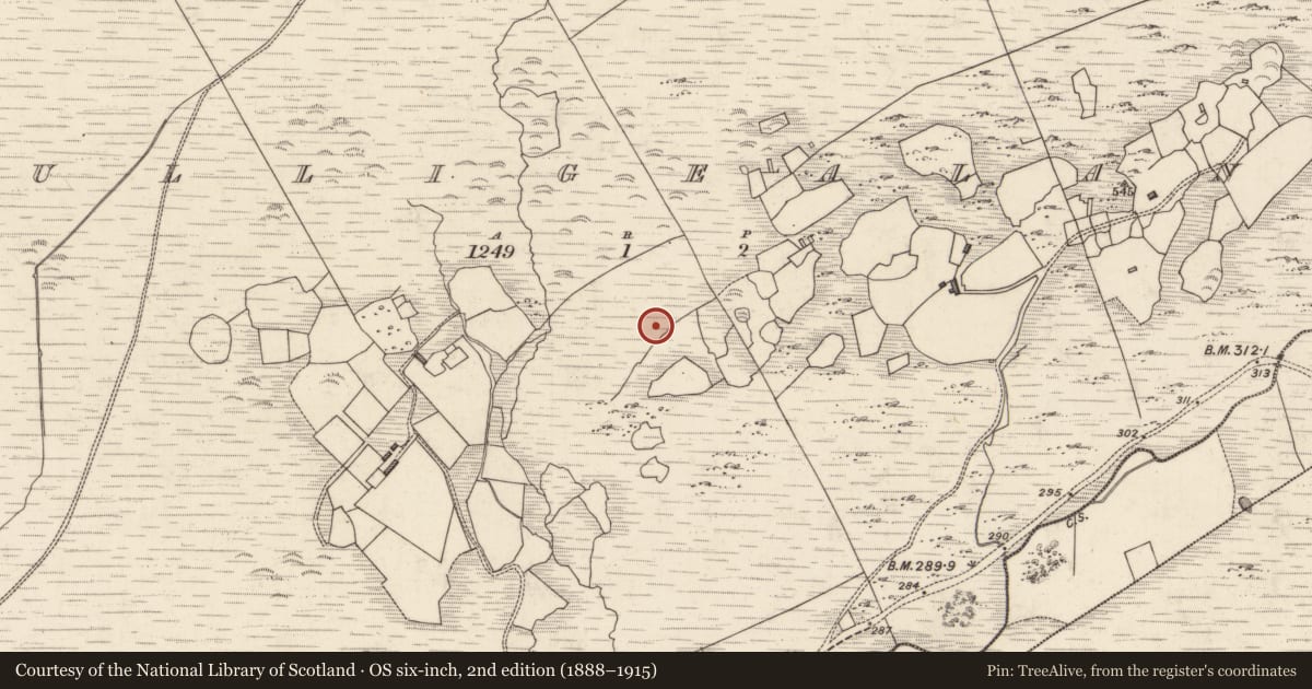 Ordnance Survey six-inch map, 2nd edition (1888–1915) covering the location of Enclosure, Tulaigh Fhialáin, County Kerry, with a pin at the register's coordinates