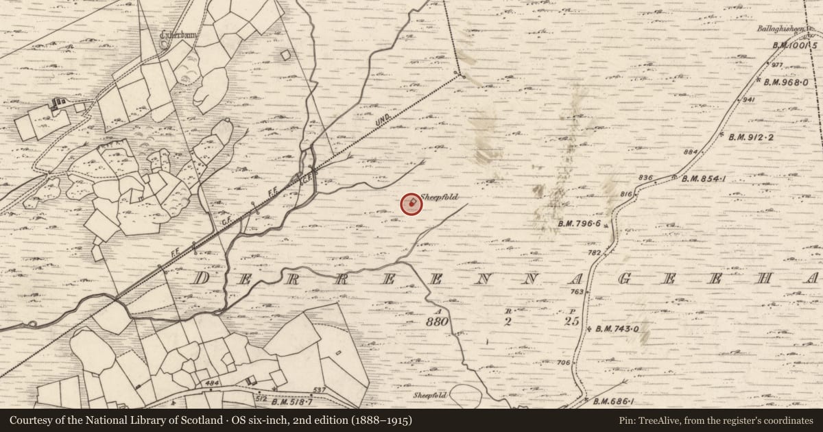 Ordnance Survey six-inch map, 2nd edition (1888–1915) covering the location of Hut site, Derreennageeha, County Kerry, with a pin at the register's coordinates