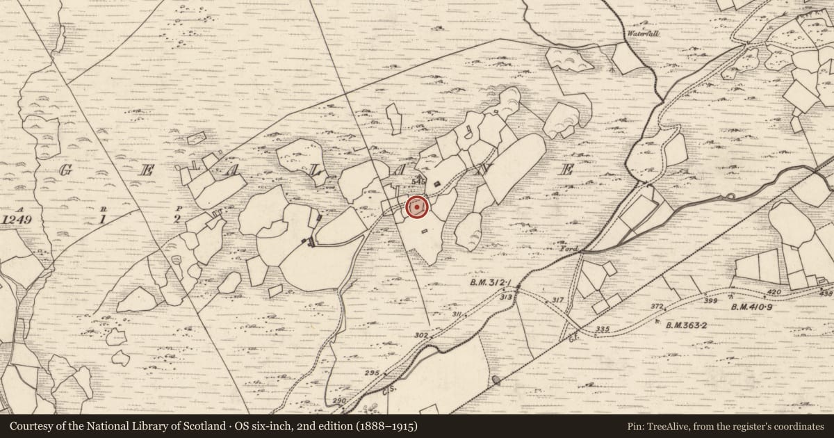 Ordnance Survey six-inch map, 2nd edition (1888–1915) covering the location of Hut site, Tulaigh Fhialáin, County Kerry, with a pin at the register's coordinates