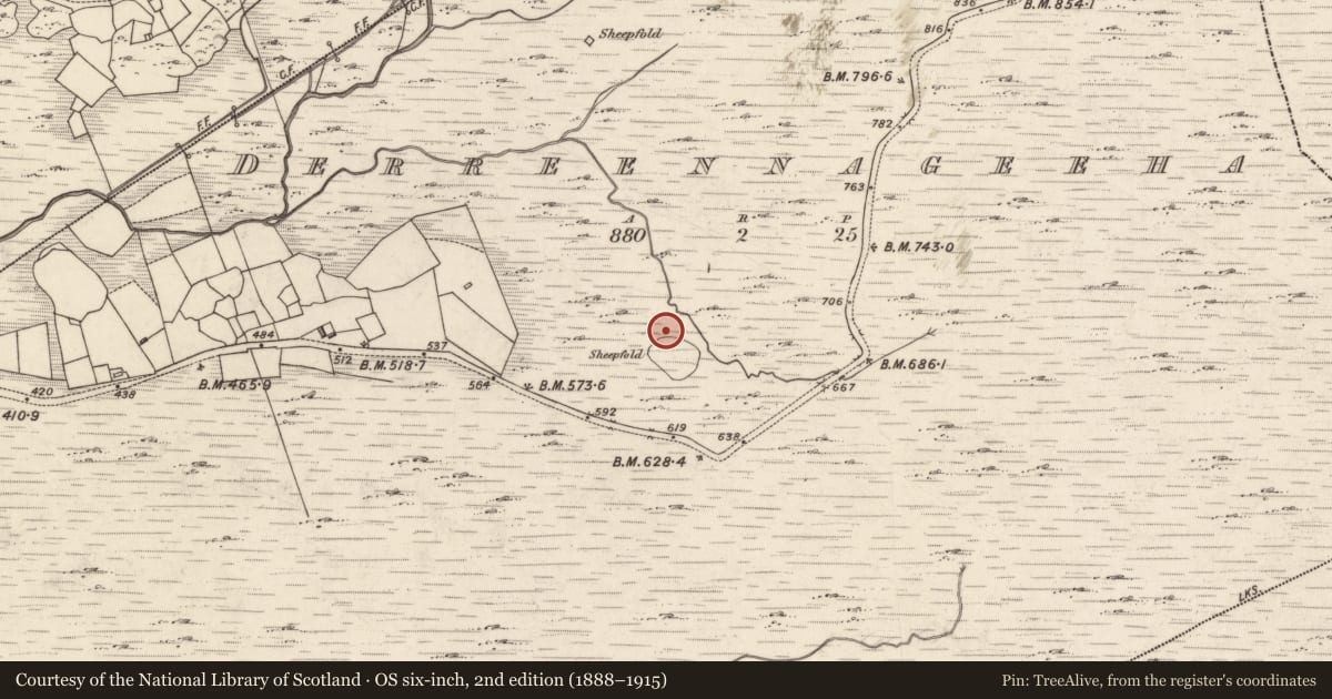 Ordnance Survey six-inch map, 2nd edition (1888–1915) covering the location of Hut site, Derreennageeha, County Kerry, with a pin at the register's coordinates