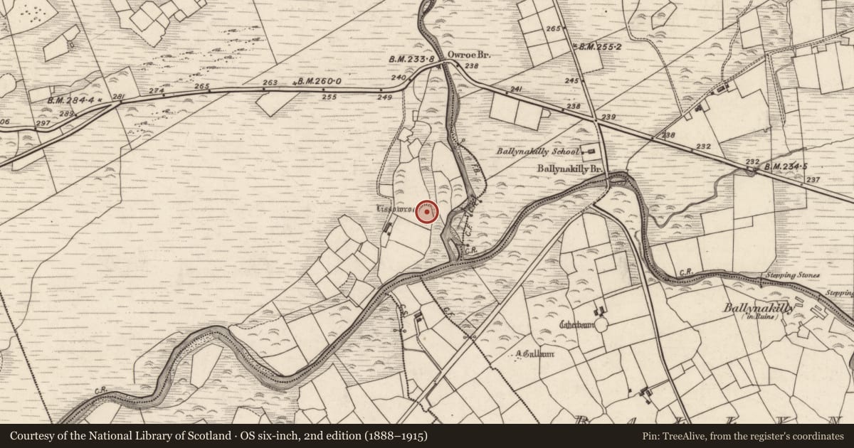 Ordnance Survey six-inch map, 2nd edition (1888–1915) covering the location of Ringfort - rath, Knockroe, County Kerry, with a pin at the register's coordinates