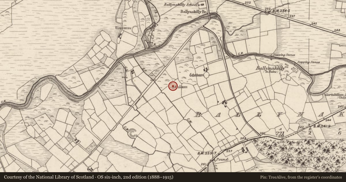 Ordnance Survey six-inch map, 2nd edition (1888–1915) covering the location of Standing stone, Ballynakilly, County Kerry, with a pin at the register's coordinates