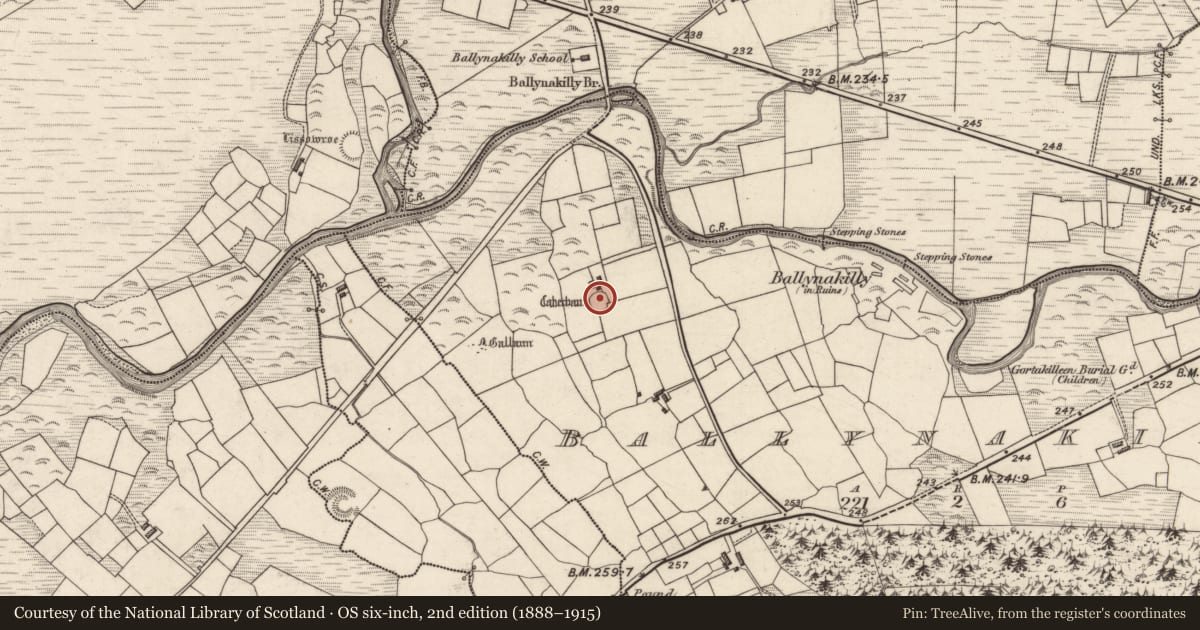 Ordnance Survey six-inch map, 2nd edition (1888–1915) covering the location of Ringfort - cashel, Ballynakilly, County Kerry, with a pin at the register's coordinates