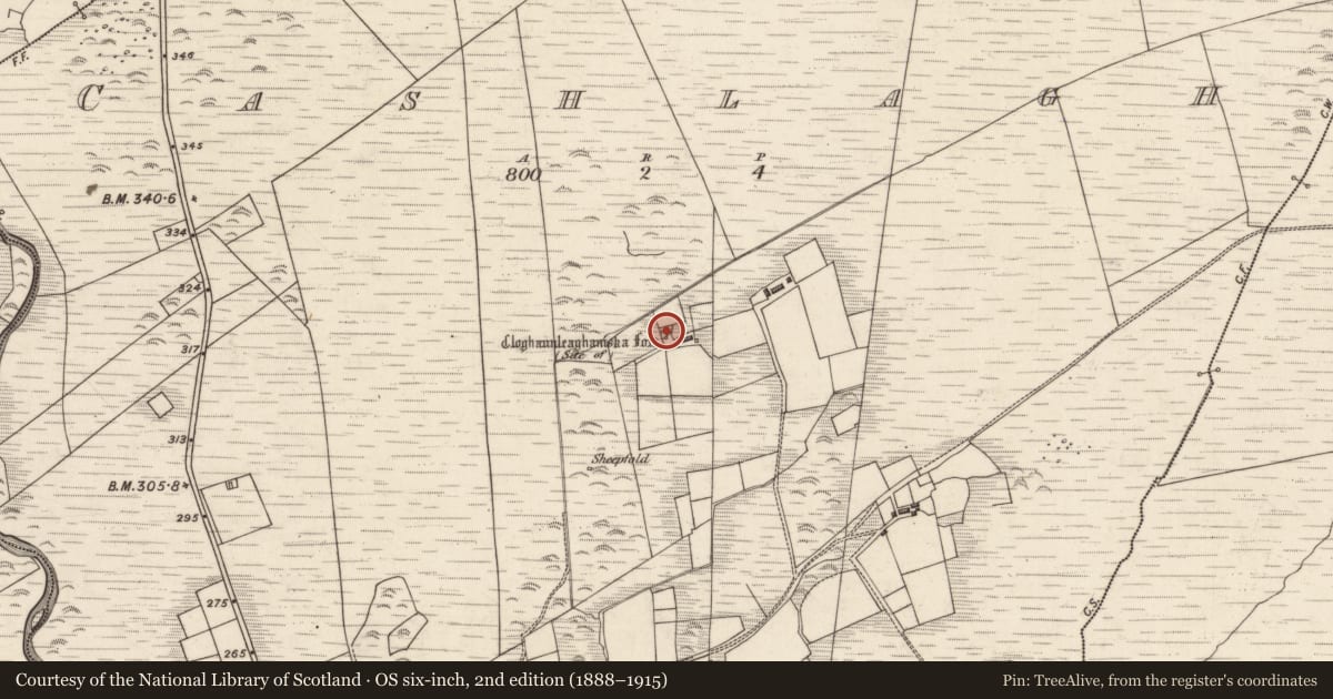 Ordnance Survey six-inch map, 2nd edition (1888–1915) covering the location of Ringfort - rath, An Chaisleach, County Kerry, with a pin at the register's coordinates