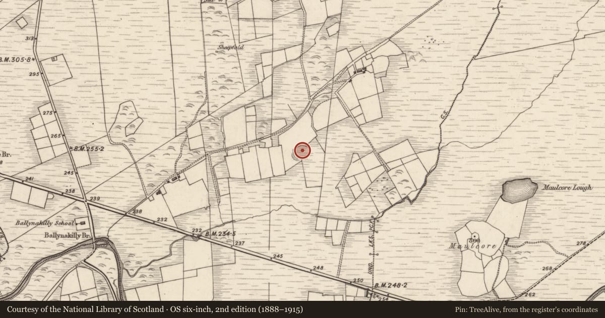 Ordnance Survey six-inch map, 2nd edition (1888–1915) covering the location of Ringfort - rath, An Chaisleach, County Kerry, with a pin at the register's coordinates
