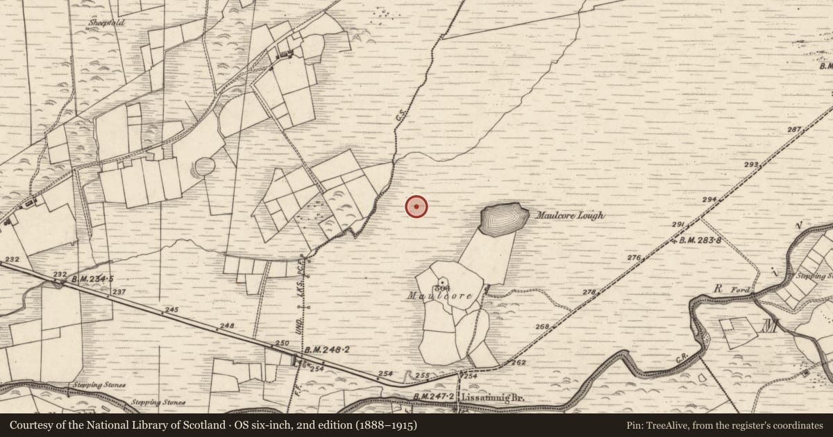 Ordnance Survey six-inch map, 2nd edition (1888–1915) covering the location of Hut site, Tulaigh Fhialáin, County Kerry, with a pin at the register's coordinates