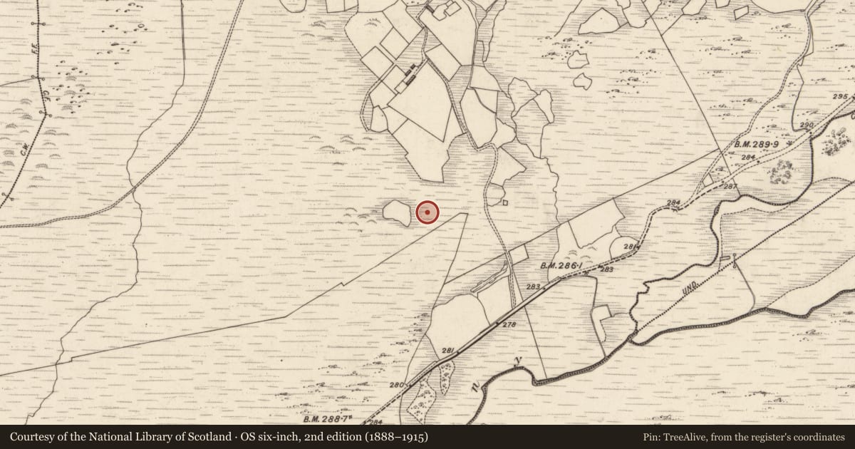 Ordnance Survey six-inch map, 2nd edition (1888–1915) covering the location of Hut site, Tulaigh Fhialáin, County Kerry, with a pin at the register's coordinates