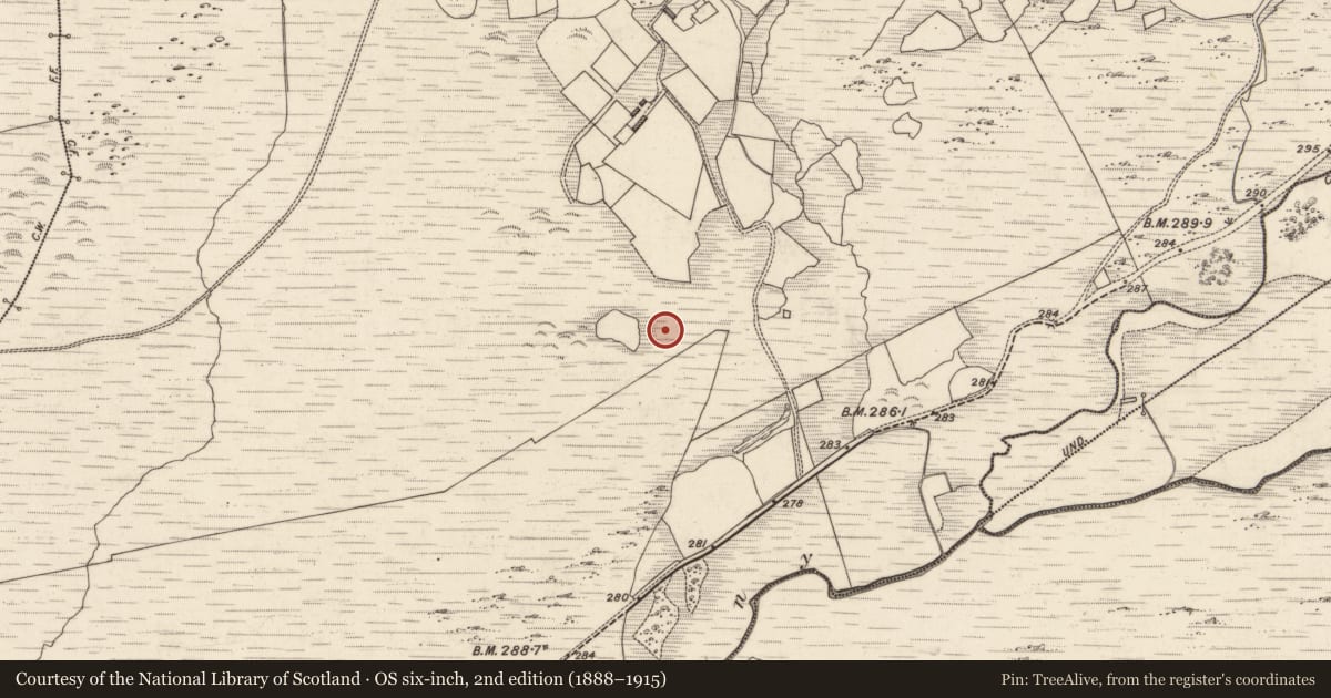 Ordnance Survey six-inch map, 2nd edition (1888–1915) covering the location of Hut site, Tulaigh Fhialáin, County Kerry, with a pin at the register's coordinates