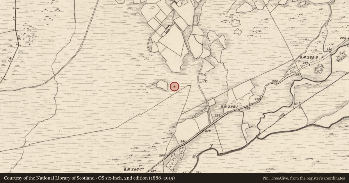 Ordnance Survey six-inch map, 2nd edition (1888–1915) covering the location of Field boundary, Tulaigh Fhialáin, County Kerry, with a pin at the register's coordinates