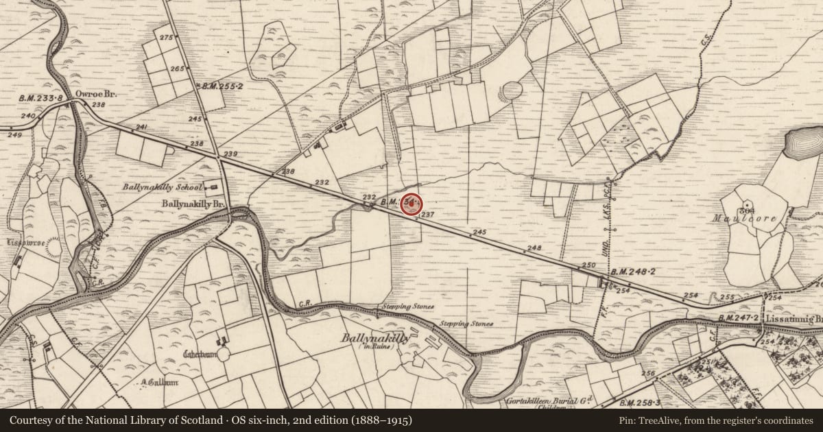 Ordnance Survey six-inch map, 2nd edition (1888–1915) covering the location of Field boundary, An Chaisleach, County Kerry, with a pin at the register's coordinates