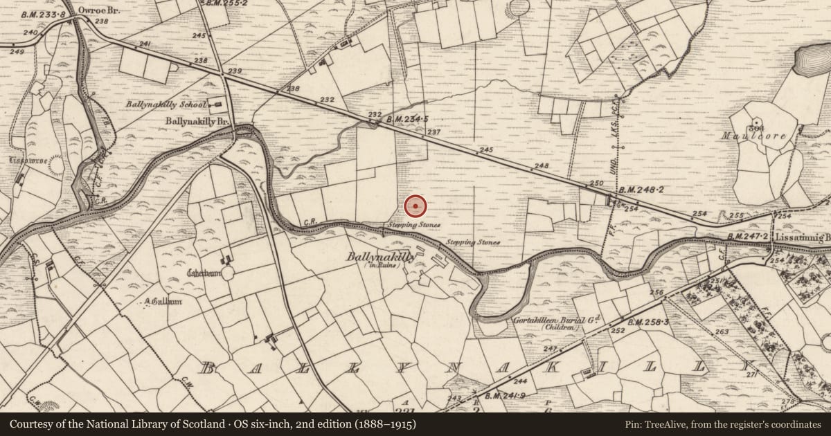 Ordnance Survey six-inch map, 2nd edition (1888–1915) covering the location of Ringfort - cashel, An Chaisleach, County Kerry, with a pin at the register's coordinates