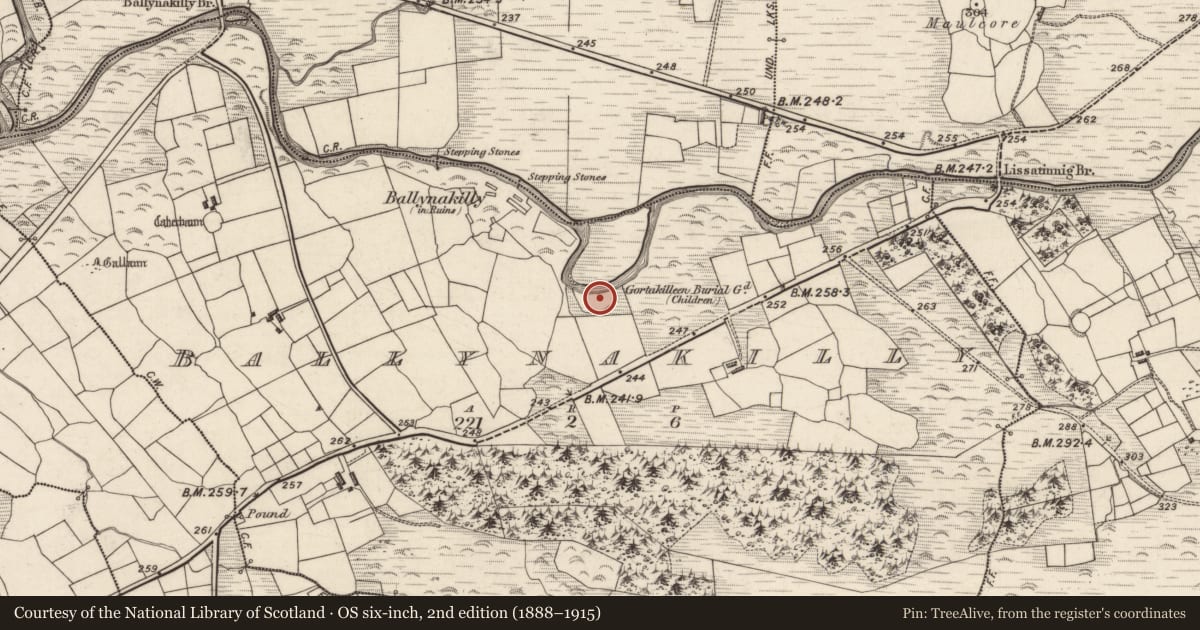 Ordnance Survey six-inch map, 2nd edition (1888–1915) covering the location of Bullaun stone, Ballynakilly, County Kerry, with a pin at the register's coordinates