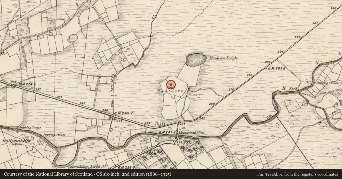 Ordnance Survey six-inch map, 2nd edition (1888–1915) covering the location of Ringfort - cashel, Tulaigh Fhialáin, County Kerry, with a pin at the register's coordinates
