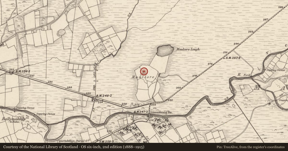 Ordnance Survey six-inch map, 2nd edition (1888–1915) covering the location of Hut site, Tulaigh Fhialáin, County Kerry, with a pin at the register's coordinates