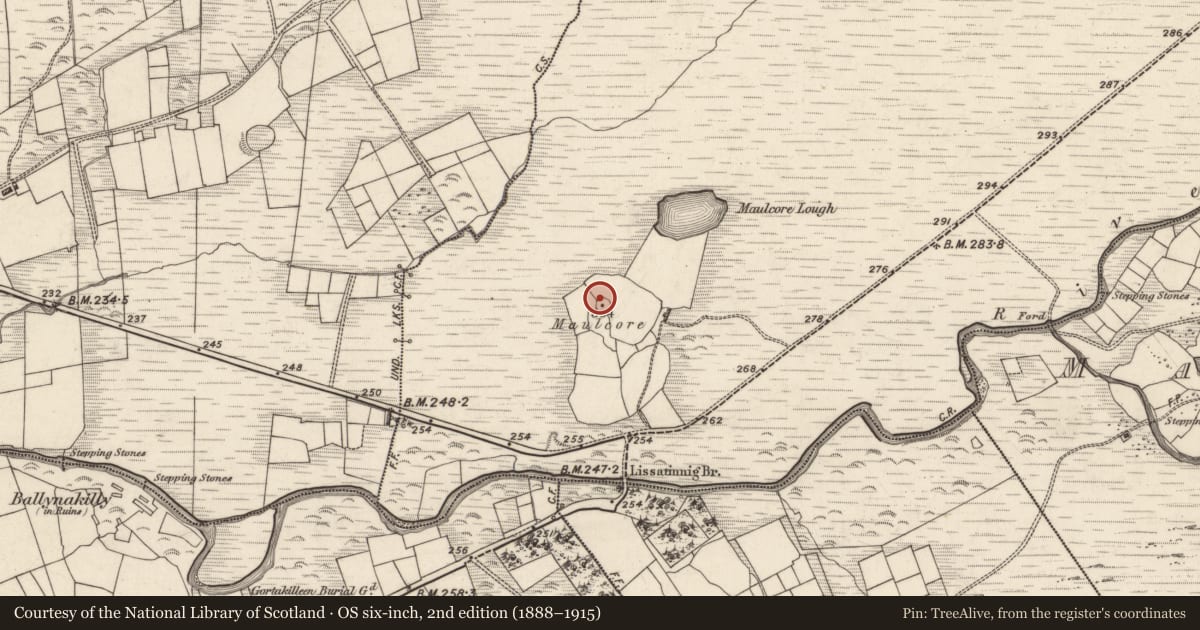 Ordnance Survey six-inch map, 2nd edition (1888–1915) covering the location of Souterrain, Tulaigh Fhialáin, County Kerry, with a pin at the register's coordinates