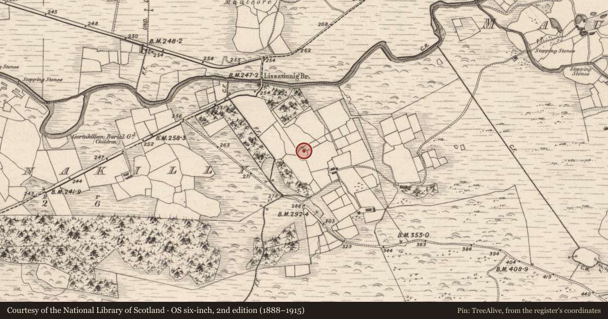 Ordnance Survey six-inch map, 2nd edition (1888–1915) covering the location of Ringfort - rath, Lios An Tsionnaigh, County Kerry, with a pin at the register's coordinates