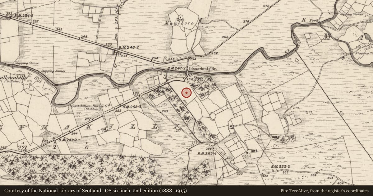 Ordnance Survey six-inch map, 2nd edition (1888–1915) covering the location of Enclosure, Lios An Tsionnaigh, County Kerry, with a pin at the register's coordinates