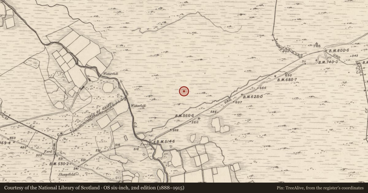 Ordnance Survey six-inch map, 2nd edition (1888–1915) covering the location of Field boundary, Meall Na Mbreac, County Kerry, with a pin at the register's coordinates