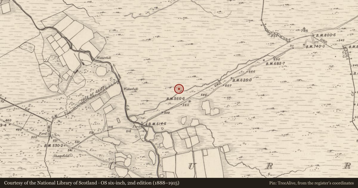 Ordnance Survey six-inch map, 2nd edition (1888–1915) covering the location of Field boundary, Meall Na Mbreac, County Kerry, with a pin at the register's coordinates