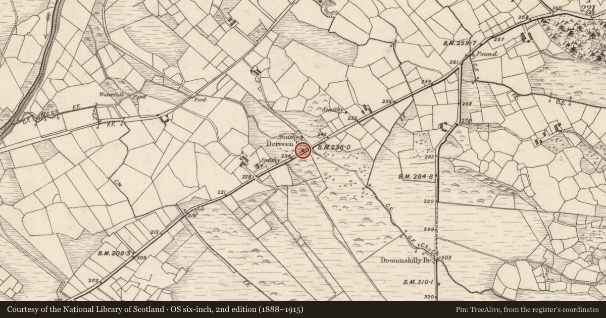 Ordnance Survey six-inch map, 2nd edition (1888–1915) covering the location of Enclosure, Derreen, County Kerry, with a pin at the register's coordinates