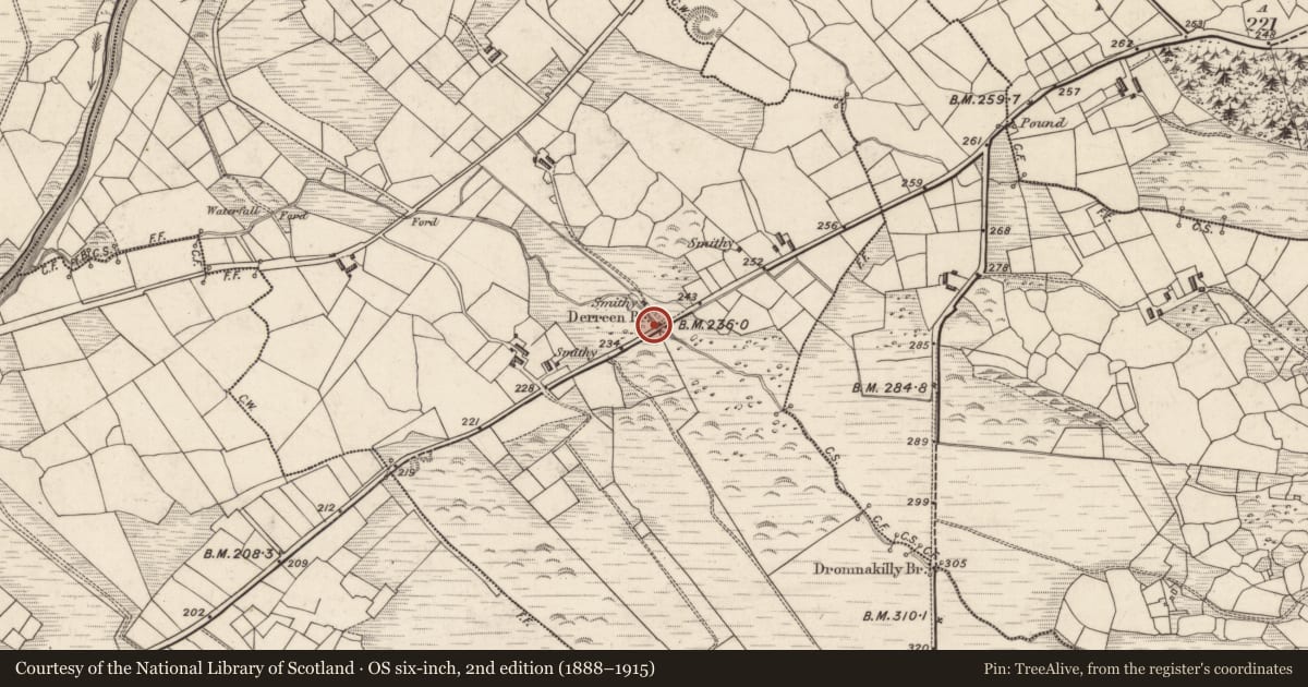Ordnance Survey six-inch map, 2nd edition (1888–1915) covering the location of Barrow - unclassified, Derreen, County Kerry, with a pin at the register's coordinates