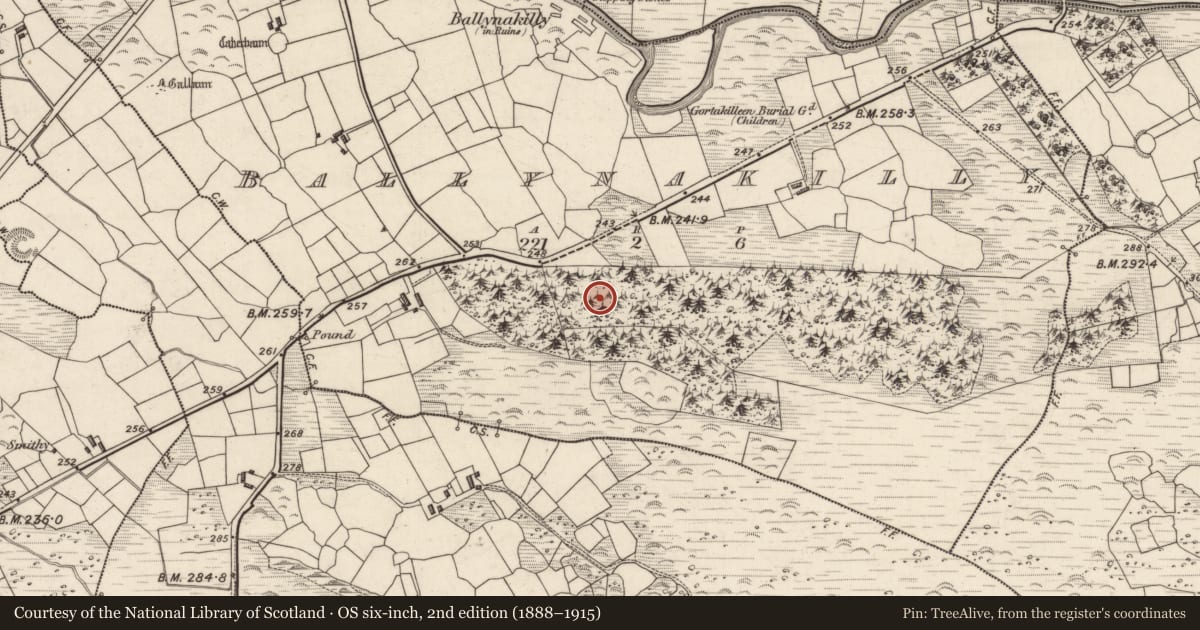 Ordnance Survey six-inch map, 2nd edition (1888–1915) covering the location of Ringfort - cashel, Ballynakilly, County Kerry, with a pin at the register's coordinates