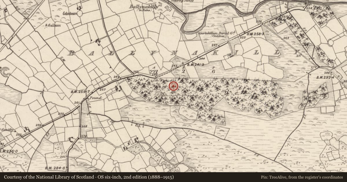 Ordnance Survey six-inch map, 2nd edition (1888–1915) covering the location of Souterrain, Ballynakilly, County Kerry, with a pin at the register's coordinates