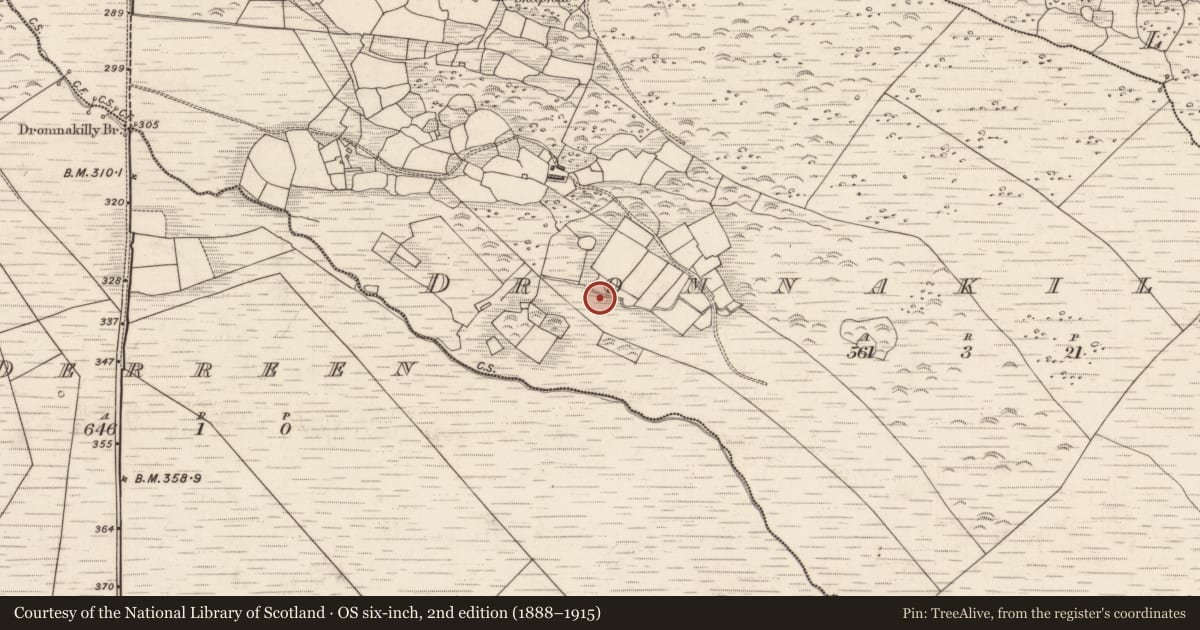 Ordnance Survey six-inch map, 2nd edition (1888–1915) covering the location of Hut site, Drom Na Coille, County Kerry, with a pin at the register's coordinates