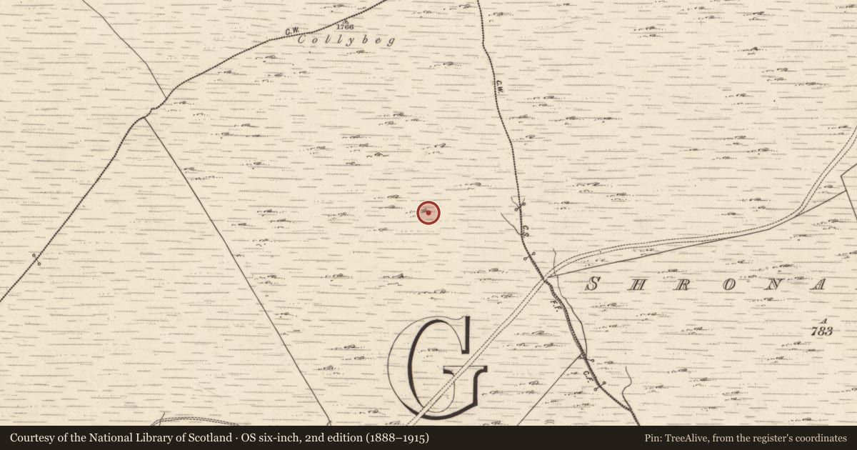 Ordnance Survey six-inch map, 2nd edition (1888–1915) covering the location of Hut site, Tulaigh Fhialáin, County Kerry, with a pin at the register's coordinates