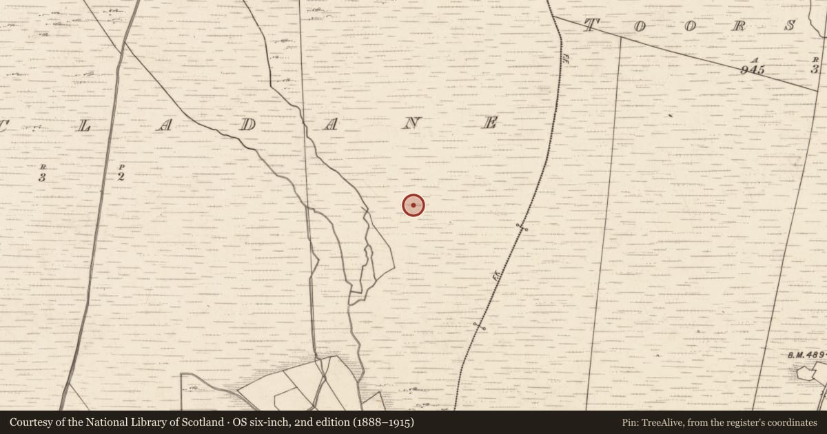 Ordnance Survey six-inch map, 2nd edition (1888–1915) covering the location of Field boundary, Tuar An Chladáin, County Kerry, with a pin at the register's coordinates