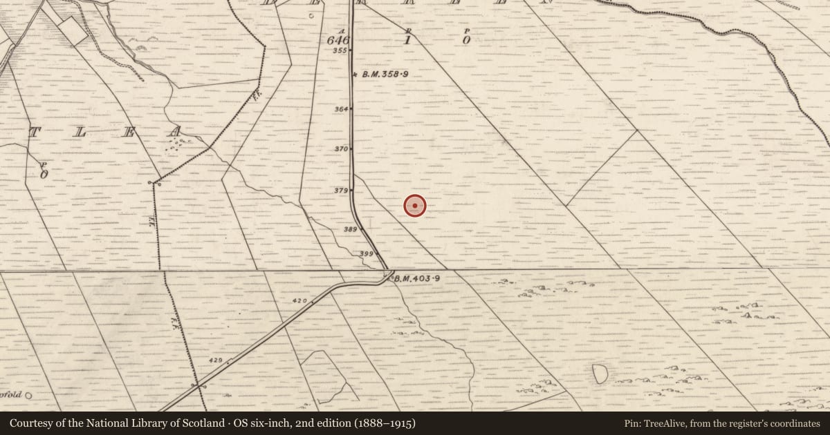 Ordnance Survey six-inch map, 2nd edition (1888–1915) covering the location of Standing stone, Derreen, County Kerry, with a pin at the register's coordinates