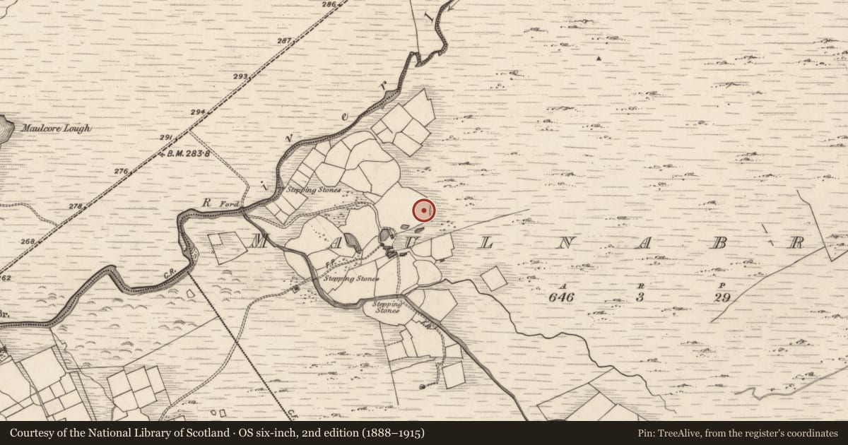 Ordnance Survey six-inch map, 2nd edition (1888–1915) covering the location of Hut site, Meall Na Mbreac, County Kerry, with a pin at the register's coordinates