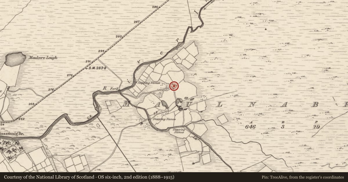 Ordnance Survey six-inch map, 2nd edition (1888–1915) covering the location of Church, Meall Na Mbreac, County Kerry, with a pin at the register's coordinates