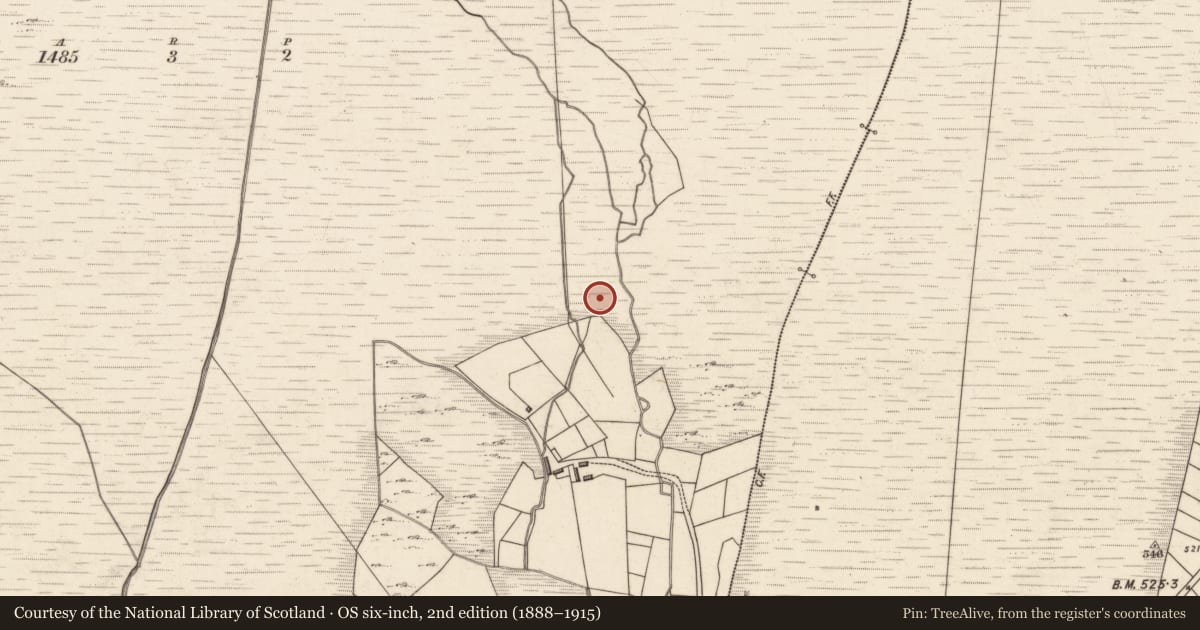 Ordnance Survey six-inch map, 2nd edition (1888–1915) covering the location of Rock art, Tuar An Chladáin, County Kerry, with a pin at the register's coordinates