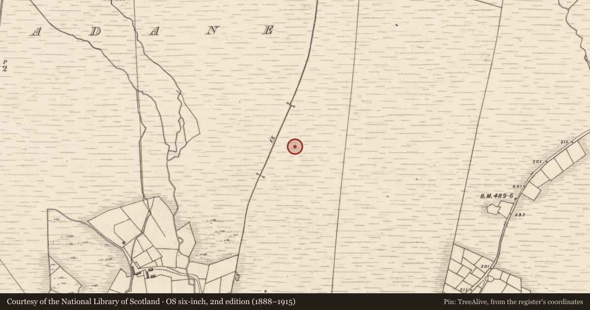 Ordnance Survey six-inch map, 2nd edition (1888–1915) covering the location of Fulacht fia, Tuar Sáilín, County Kerry, with a pin at the register's coordinates