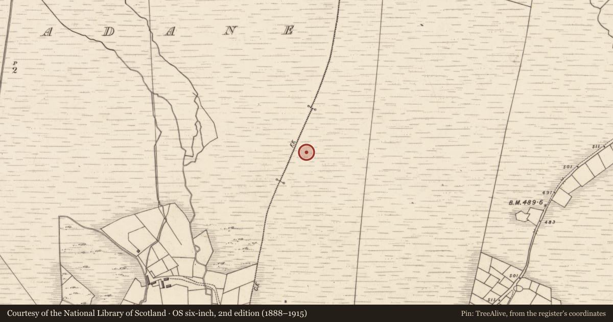 Ordnance Survey six-inch map, 2nd edition (1888–1915) covering the location of Hut site, Tuar Sáilín, County Kerry, with a pin at the register's coordinates