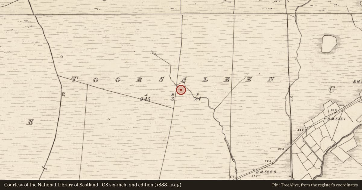 Ordnance Survey six-inch map, 2nd edition (1888–1915) covering the location of Field boundary, Tuar Sáilín, County Kerry, with a pin at the register's coordinates