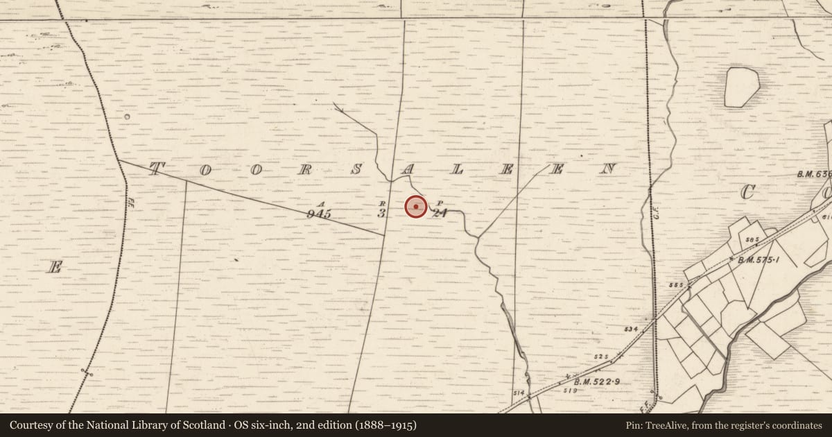 Ordnance Survey six-inch map, 2nd edition (1888–1915) covering the location of Hut site, Tuar Sáilín, County Kerry, with a pin at the register's coordinates