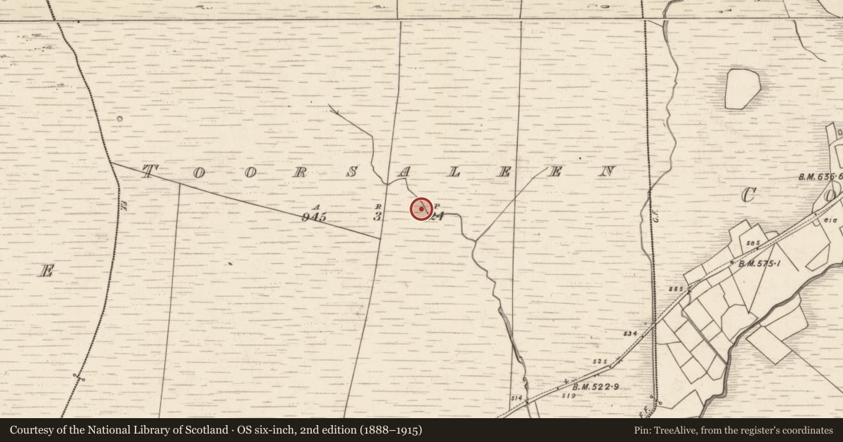 Ordnance Survey six-inch map, 2nd edition (1888–1915) covering the location of Hut site, Tuar Sáilín, County Kerry, with a pin at the register's coordinates